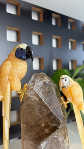 Casal de Araras em Calcita Amarela – imagem 6