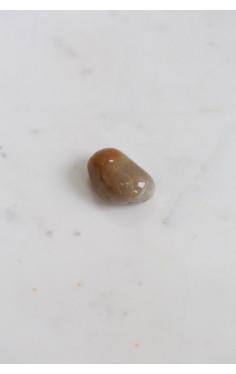 Pedra Coprolita Rolada 9 a 12 gramas