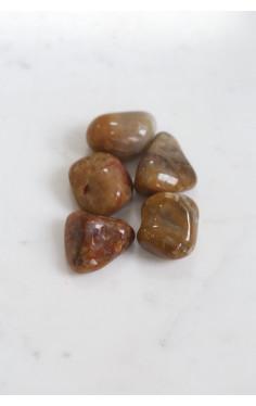 Pedra Coprolita Rolada 9 a 12 gramas