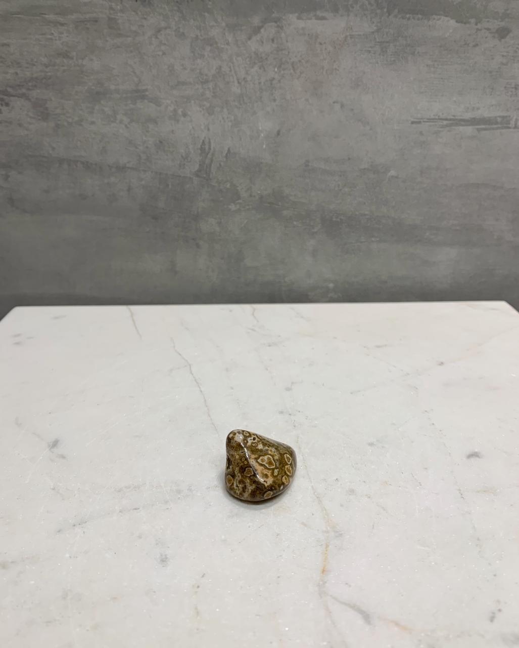 Pedra Jaspe Oceânico Orbicular Rolado 7 a 10 gramas