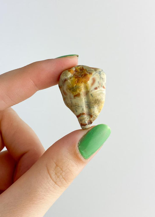 Pedra Jaspe Olho Pássaro Rolado 6 a 9 gramas