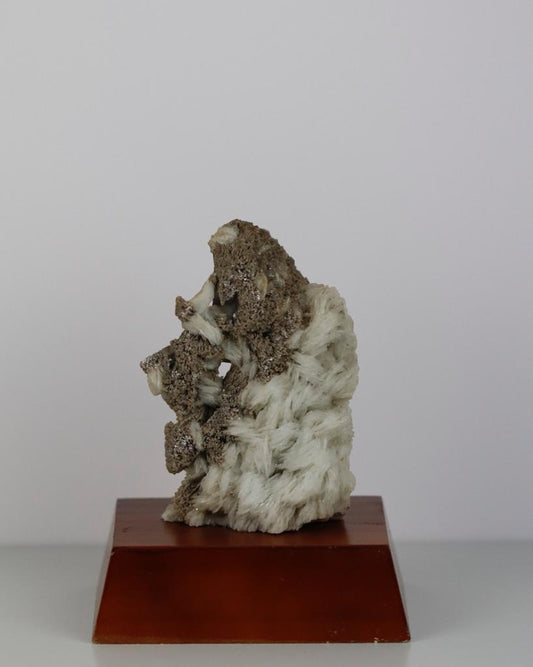 Pedra Mica com Albita Bruta na Base de Madeira Marrom (coleção) 562 gramas