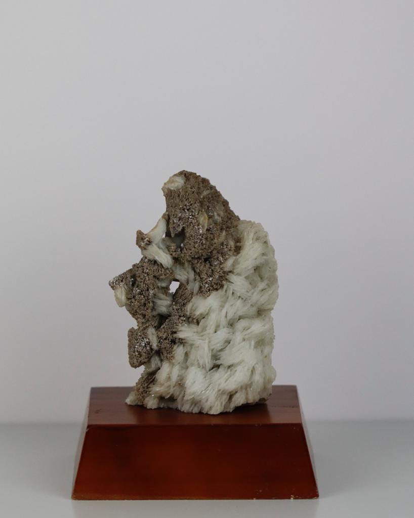 Pedra Mica com Albita Bruta na Base de Madeira Marrom (coleção) 562 gramas