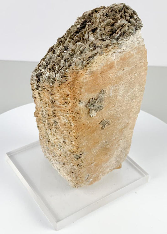 Mica com Feldspato Bruto na Base Acrílica 1,318 Kg aprox.
