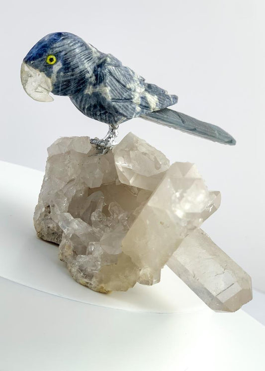 Arara de Sodalita com Ágata Natural na Base Drusa de Cristal
