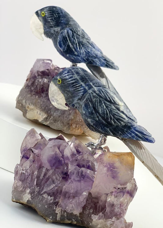 Arara de Sodalita com Ágata Natural na Base Drusa Ametista