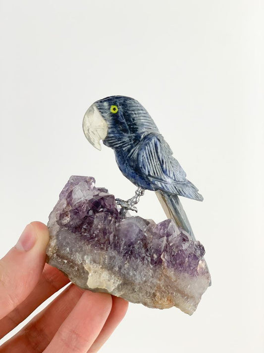 Arara de Sodalita com Ágata Natural na Base Drusa Ametista