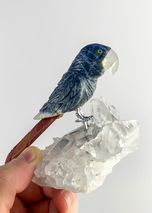 Arara de Sodalita com Ágata Vermelha com Bico de Cristal na Base Drusa de Cristal