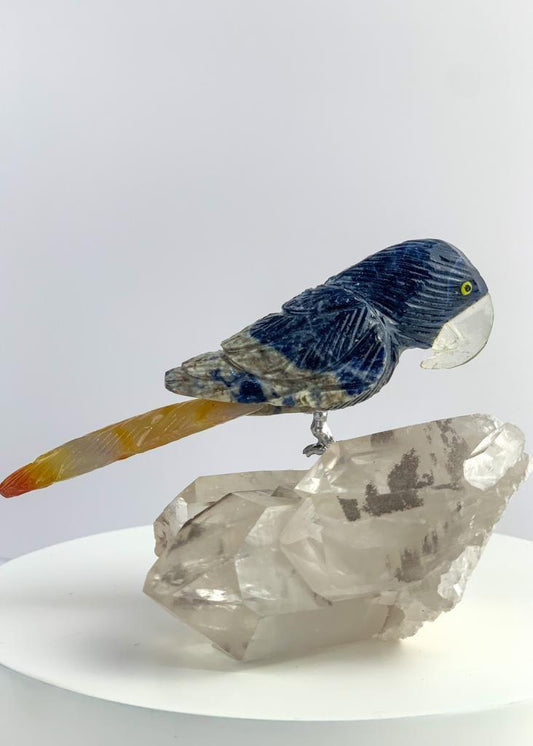 Arara de Sodalita com Ágata Vermelha com Bico de Cristal na Base Drusa de Cristal