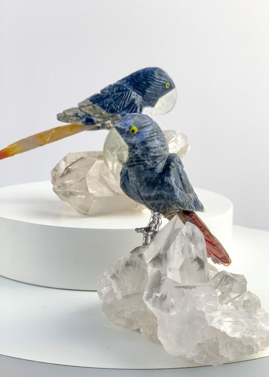 Arara de Sodalita com Ágata Vermelha com Bico de Cristal na Base Drusa de Cristal