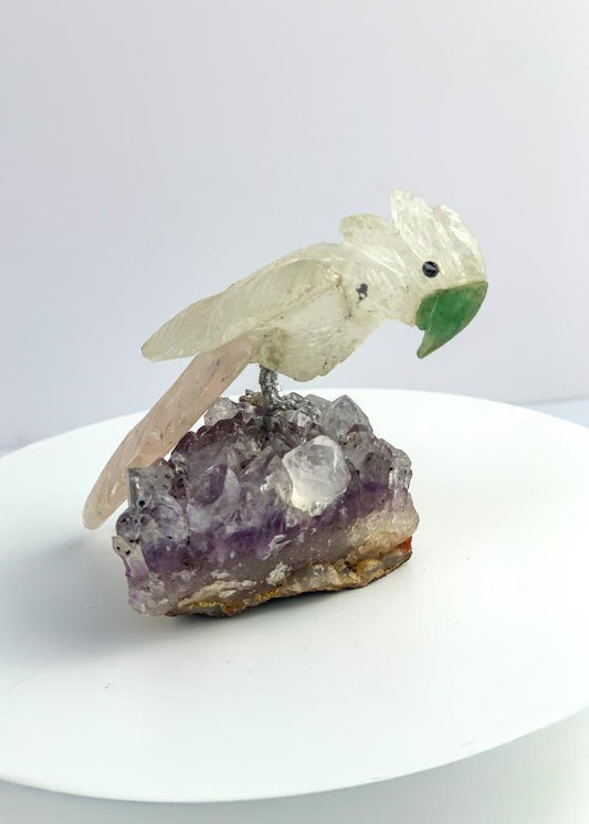 Cacatua de Quartzo Cristal com Quartzo Rosa na Base Drusa de Ametista
