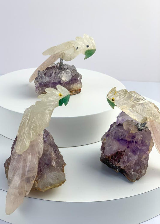 Cacatua de Quartzo Cristal com Quartzo Rosa na Base Drusa de Ametista