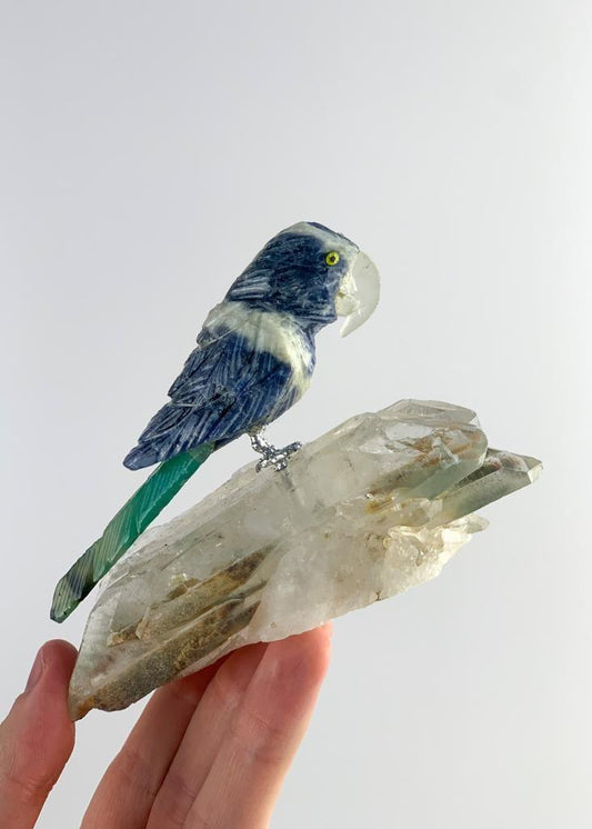 Arara de Sodalita com Ônix na Base Drusa de Cristal