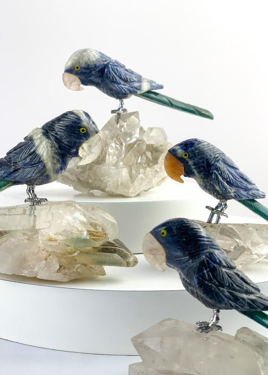 Arara de Sodalita com Ônix na Base Drusa de Cristal