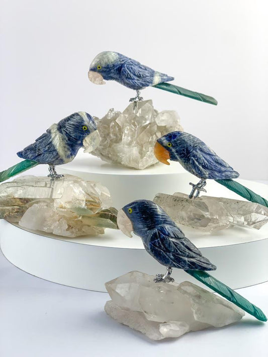 Arara de Sodalita com Ônix na Base Drusa de Cristal