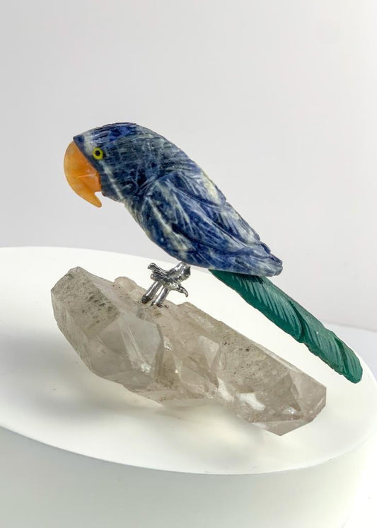 Arara de Sodalita com Ônix na Base Drusa de Cristal