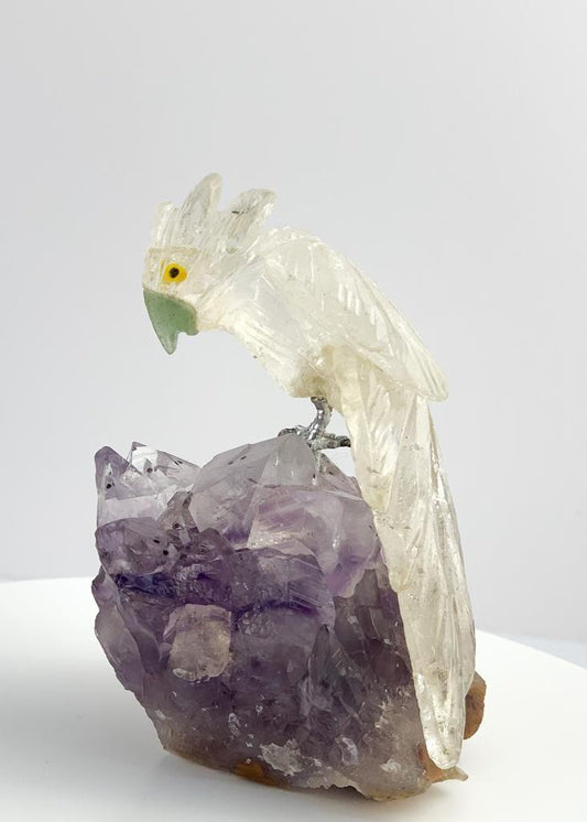 Cacatua de Quartzo Cristal na Base Drusa de Ametista