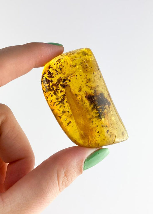 Pedra Âmbar Polido Copal 24 gramas