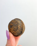 ["Mochi"]