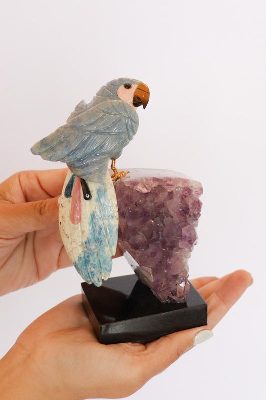 Arara em Quartzo Azul com Base de Drusa de Ametista