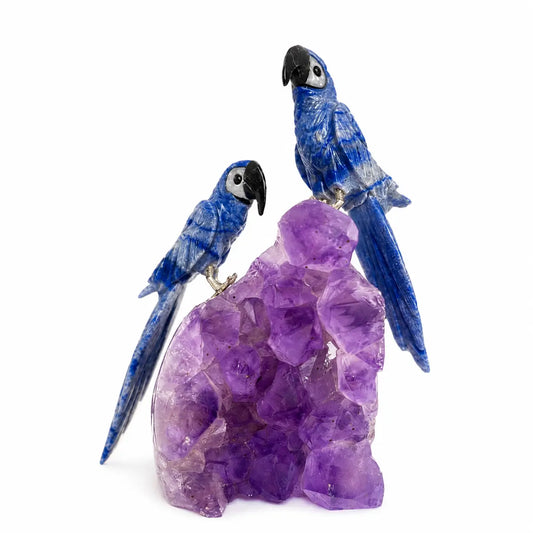 Escultura Casal Arara Azul Quartzo Azul na Base Drusa Ametista - 1,3 kg
