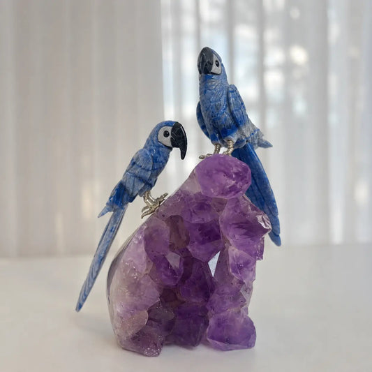 Escultura Casal Arara Azul Quartzo Azul na Base Drusa Ametista - 1,3 kg