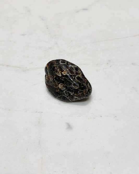 Pedra Ágata Turitela Rolada 11 a 14 gramas