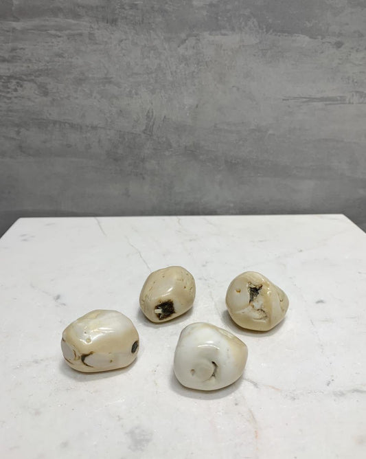 Pedra Coral Branco Rolado 20 a 25 gramas