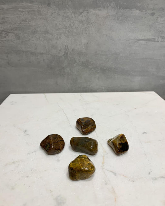 Pedra Jaspe Pele de Leão Rolado 8 a 11 gramas