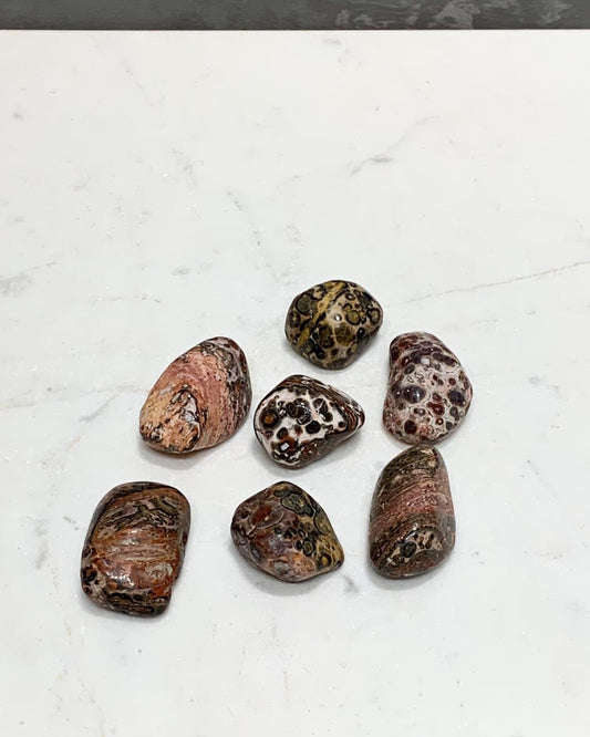 Pedra Leopardita Rolada 8 a 11 gramas