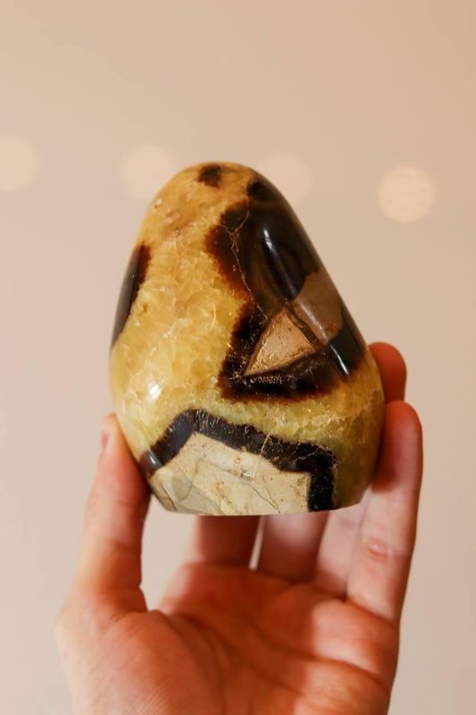 Pedra Septariana Polida 630 gramas