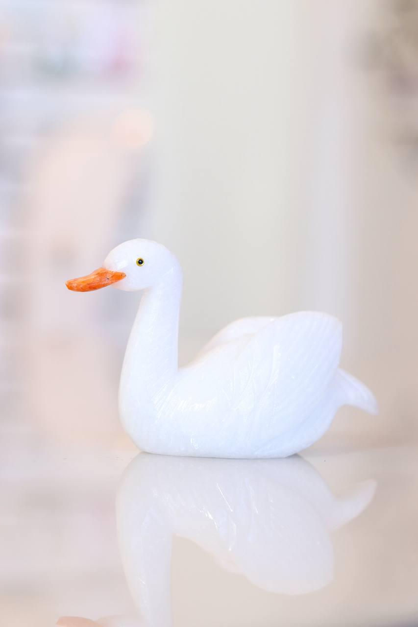 Cisne Dolomita branca