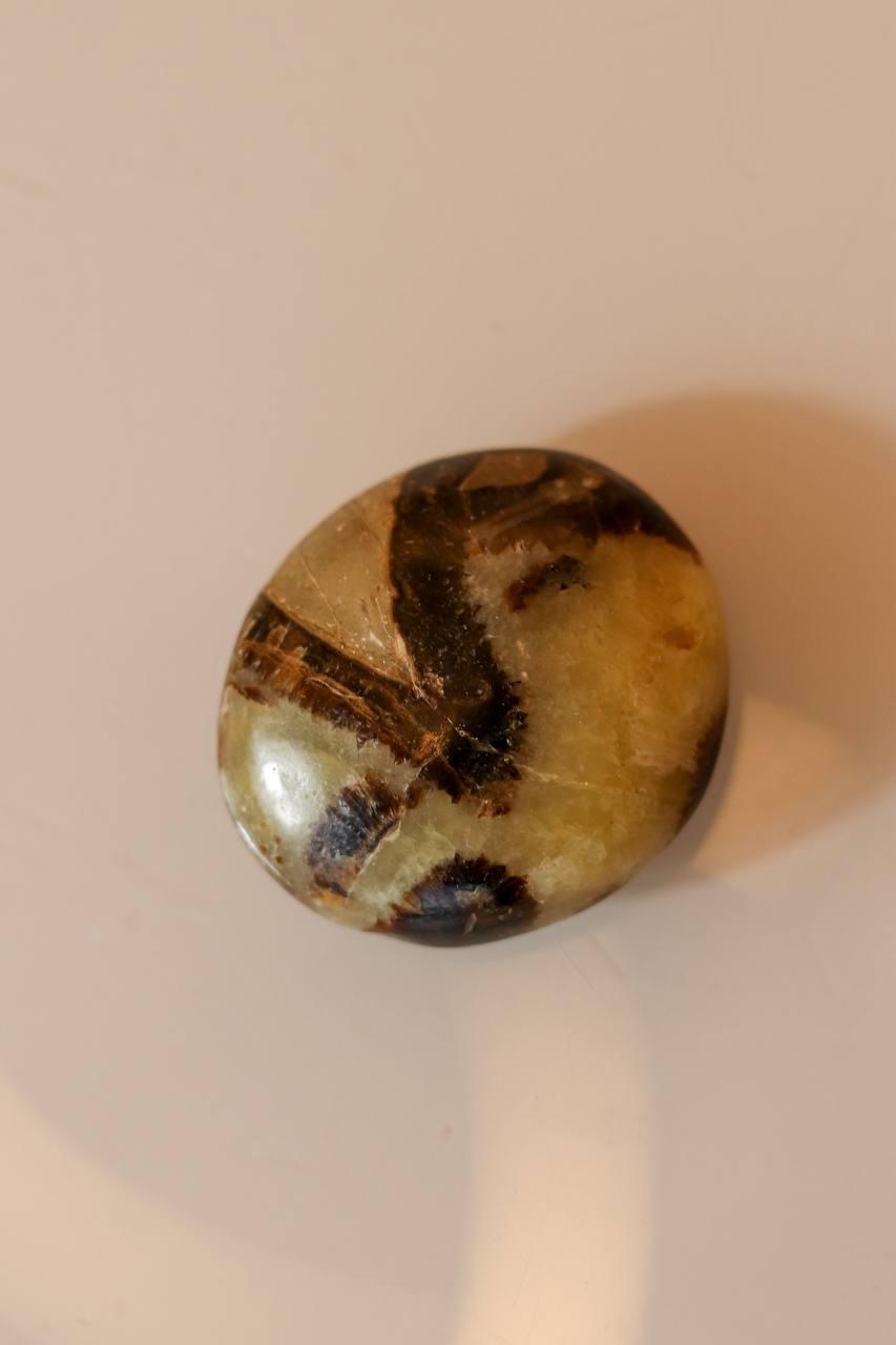 Pedra Septariana Rolada 42 a 50 gramas