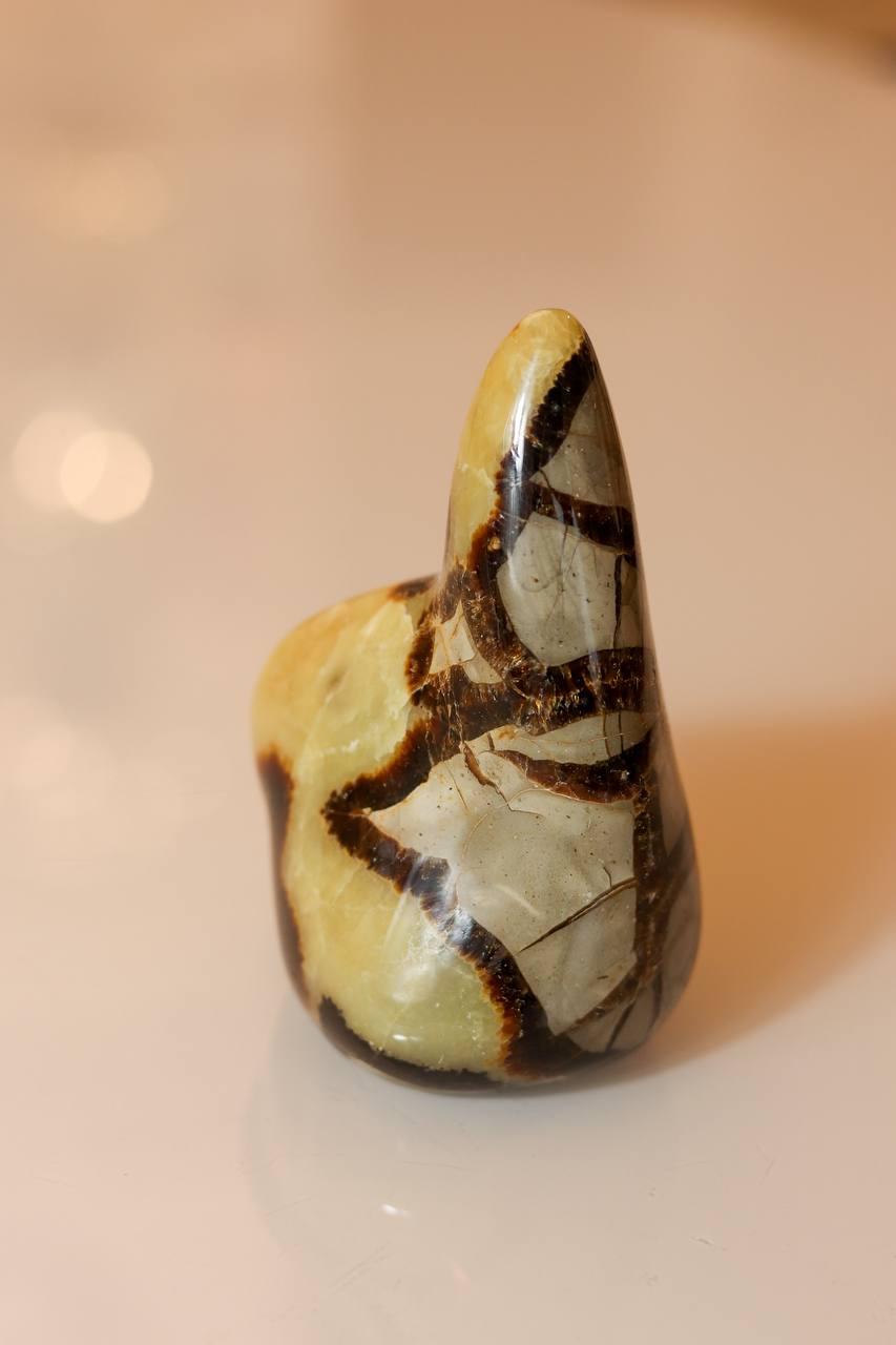 Pedra Septariana Polida 700 gramas