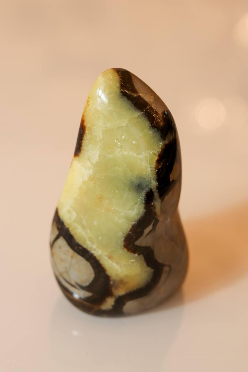 Pedra Septariana Polida 740 gramas