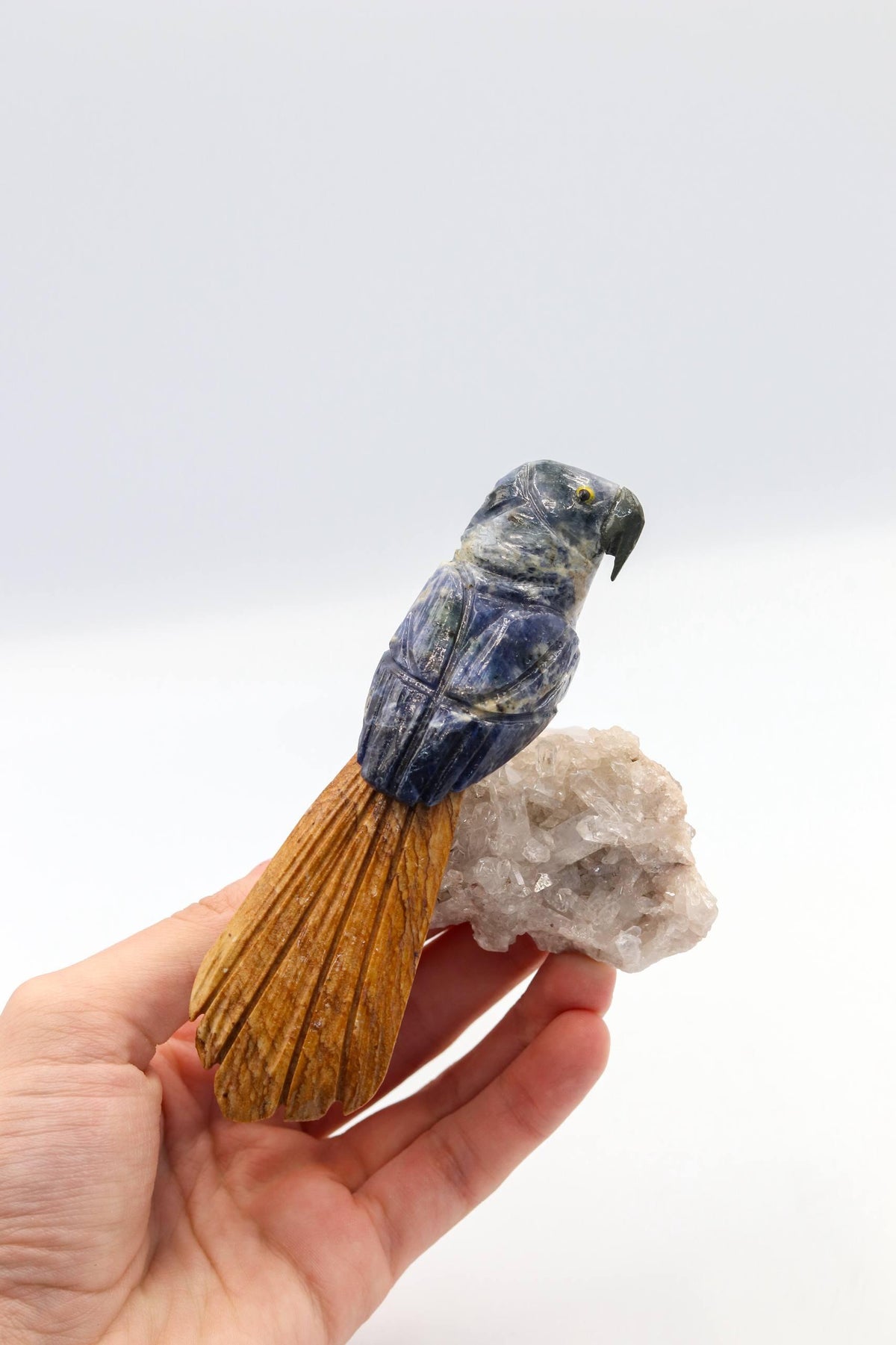 Arara de Sodalita na Base Drusa de Cristal
