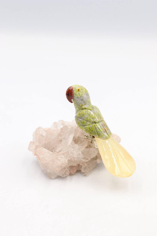 Arara Serpentinita na Base Drusa de Cristal