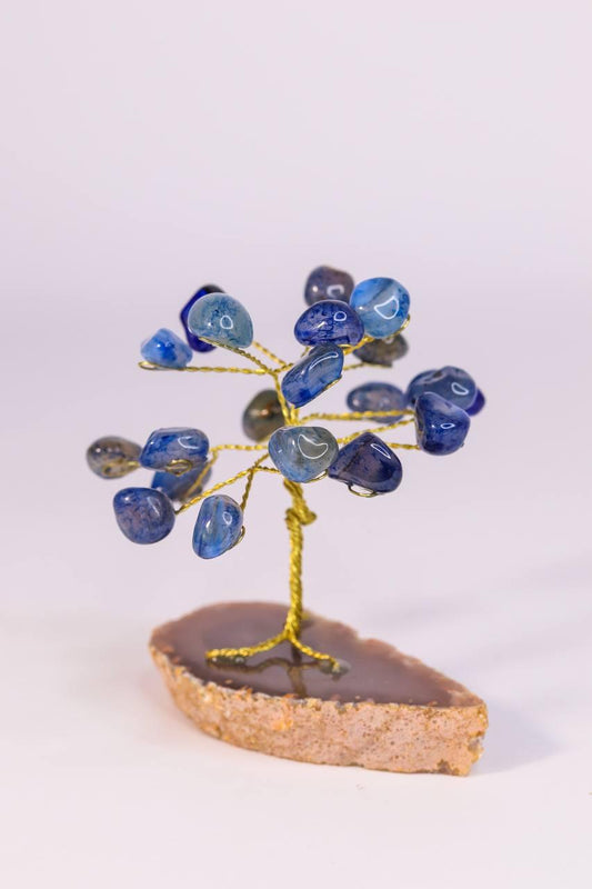 Árvore pedra Ágata azul mini