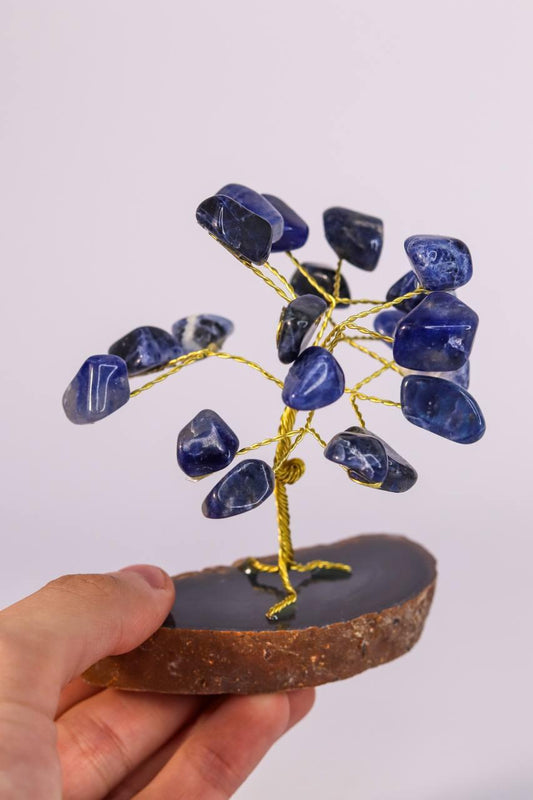 Arvore pedra Sodalita  Mini