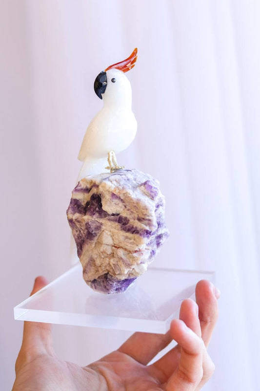 Cacatua Dolomita branca na Base de Ametista Chevron no Acrílico