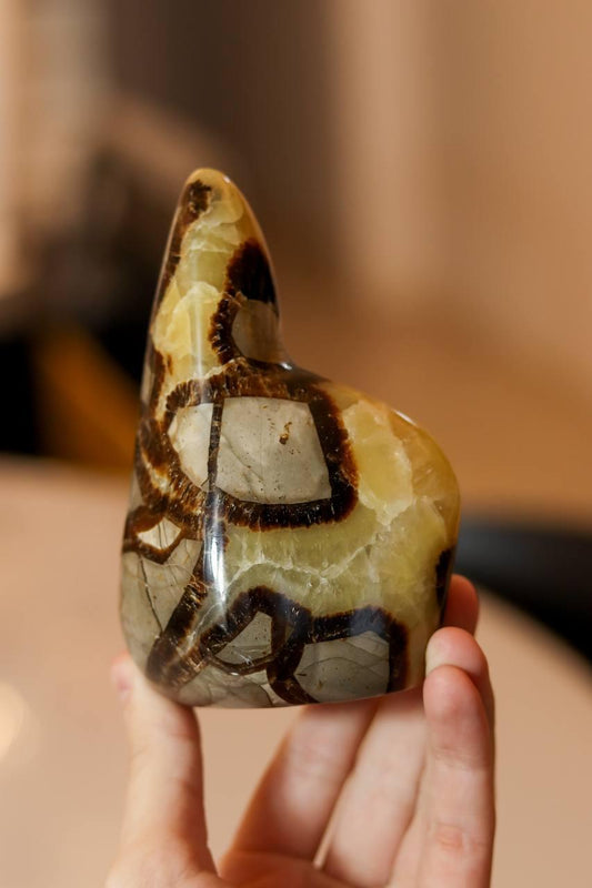 Pedra Septariana Polida 700 gramas