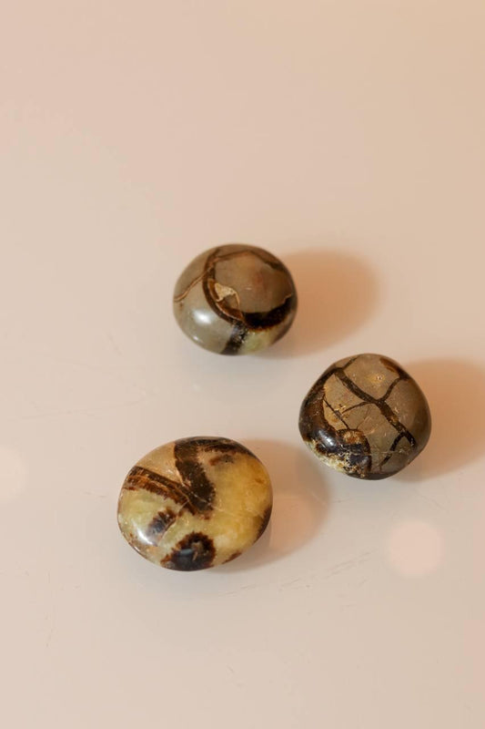Pedra Septariana Rolada 42 a 50 gramas