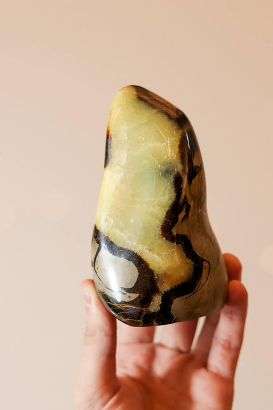 Pedra Septariana Polida 740 gramas