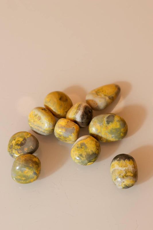 Pedra Jaspe Mamangaba (Bumblebee Jasper) Rolado 10 a 15 gramas