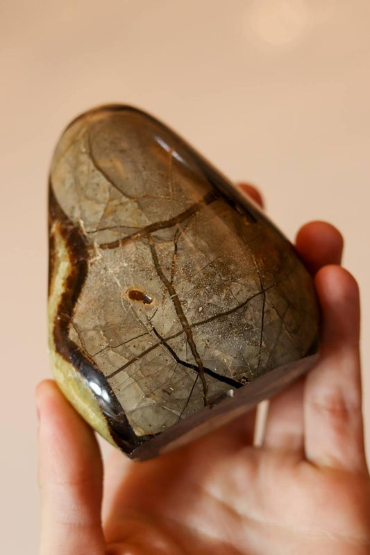 Pedra Septariana Polida 630 gramas