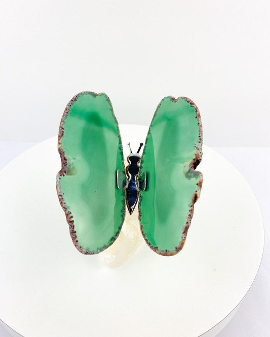 Borboleta Ágata verde base drusa Drusa de Cristal