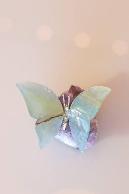 Borboleta Ônix Azul na Base de Drusa de Ametista