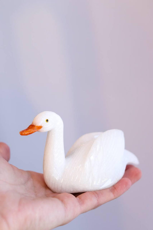 Cisne Dolomita branca