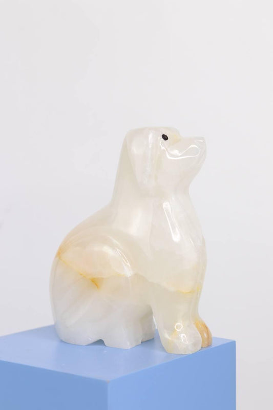 Cachorro Ônix Branco