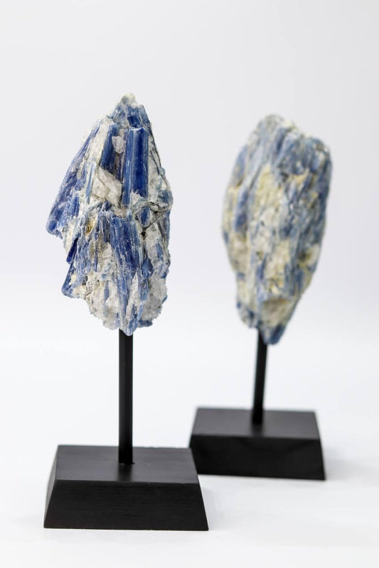 Cianita Azul na Base de Madeira Preta 200 a 450 gramas